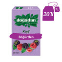 DOĞADAN - DOĞADAN BÖĞÜRTLEN ÇAY PAKET