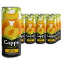 COCA COLA - CAPPY KAYISI 250 ML KUTU 12 Lİ KOLİ