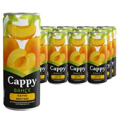 CAPPY KAYISI 250 ML KUTU 12 Lİ KOLİ