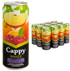 CAPPY KARIŞIK 250 ML KUTU 12 Lİ KOLİ