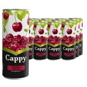 COCA COLA - CAPPY VİŞNE 250 ML KUTU 12 Lİ KOLİ