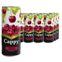 CAPPY VİŞNE 250 ML KUTU 12 Lİ KOLİ