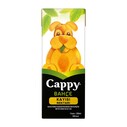 COCA COLA - CAPPY TETRAPAK 200 ML KAYISI 27 Lİ KOLİ