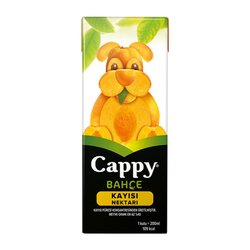 CAPPY TETRAPAK 200 ML KAYISI 27 Lİ KOLİ