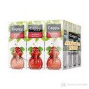 COCA COLA - CAPPY TETRAPAK 200 ML VİŞNE 27 Lİ KOLİ