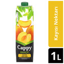 COCA COLA - CAPPY TETRAPAK 1 LT KAYISI 12 Lİ KOLİ