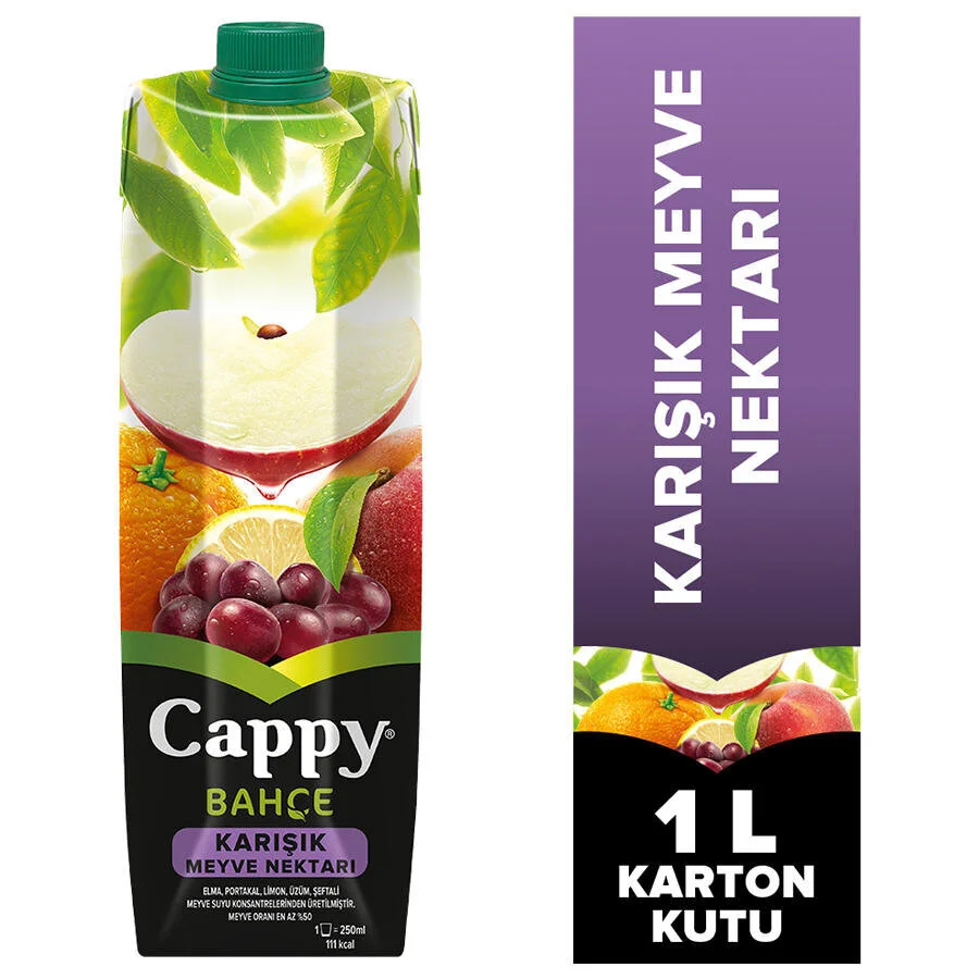 COCA COLA - CAPPY TETRAPAK 1 LT KARIŞIK 12 Lİ KOLİ